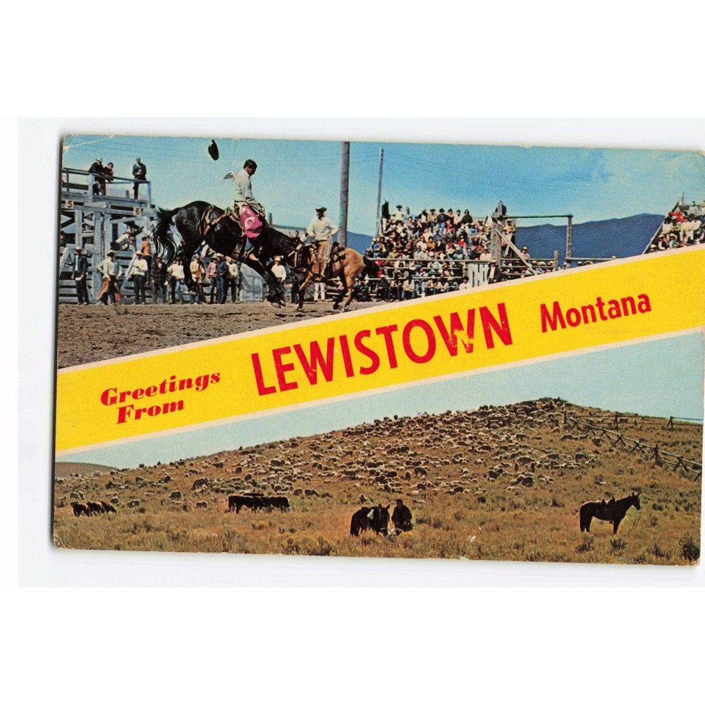 Vintage Greetings From Lewistown Montana Postcard Rodeo Pastoral 1966 FW 906C